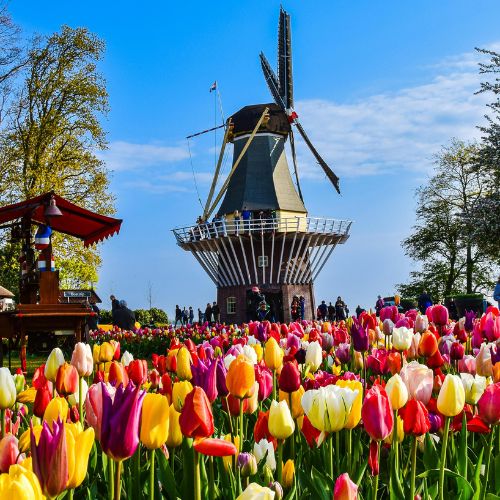 Netherlands